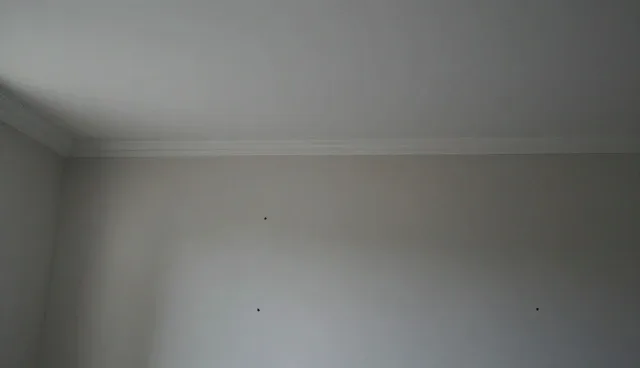 网络推广的日常维护与优化策略